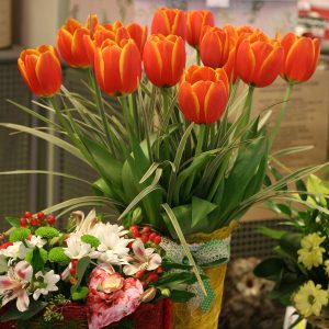 Цветы для любимых - 8 марта (3)