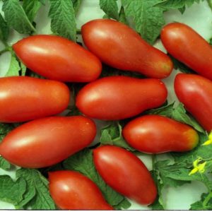 московский деликатес